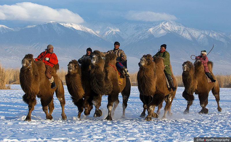 winter festivals mongolia 